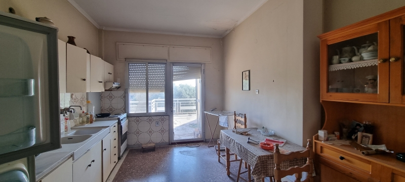 Zu-verkaufen-Einfamilienhaus-534.00-qm.
